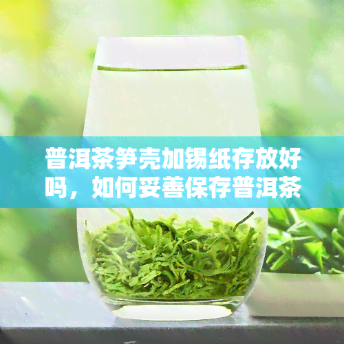 普洱茶笋壳加锡纸存放好吗，如何妥善保存普洱茶笋壳？锡纸是否适用？