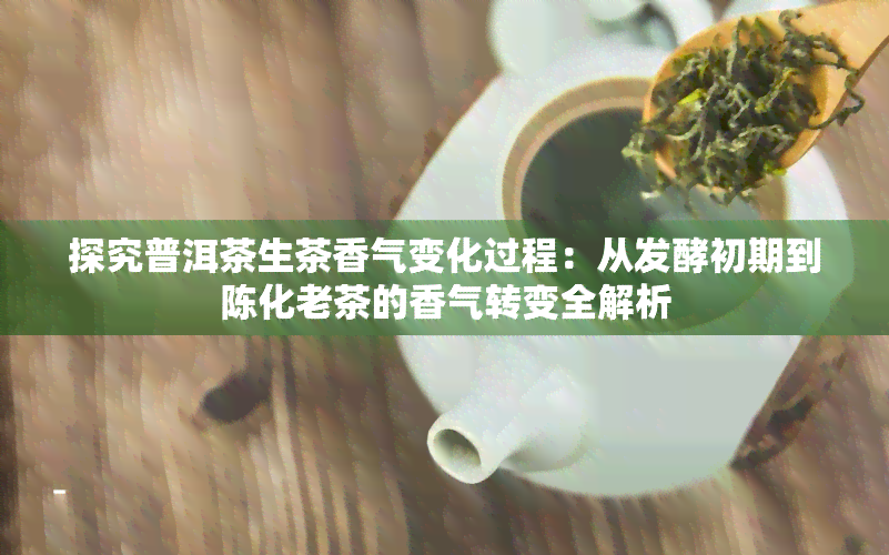 探究普洱茶生茶香气变化过程：从发酵初期到陈化老茶的香气转变全解析