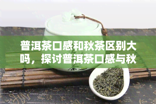 普洱茶口感和秋茶区别大吗，探讨普洱茶口感与秋茶的区别