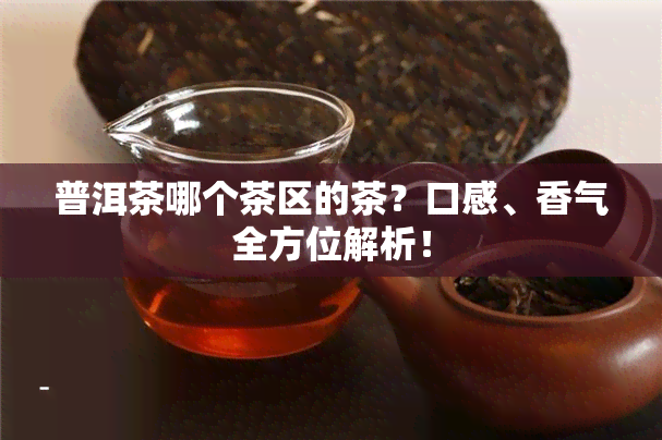 普洱茶哪个茶区的茶？口感、香气全方位解析！