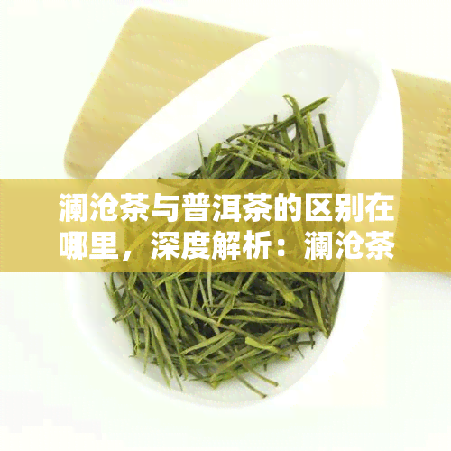 澜沧茶与普洱茶的区别在哪里，深度解析：澜沧茶与普洱茶的五大区别