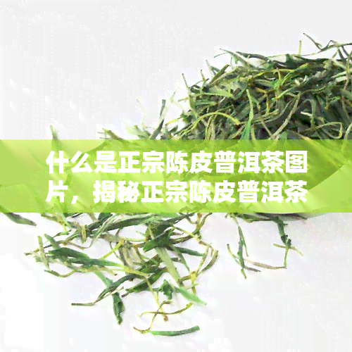 什么是正宗陈皮普洱茶图片，揭秘正宗陈皮普洱茶：图片带你了解其特点和制作过程