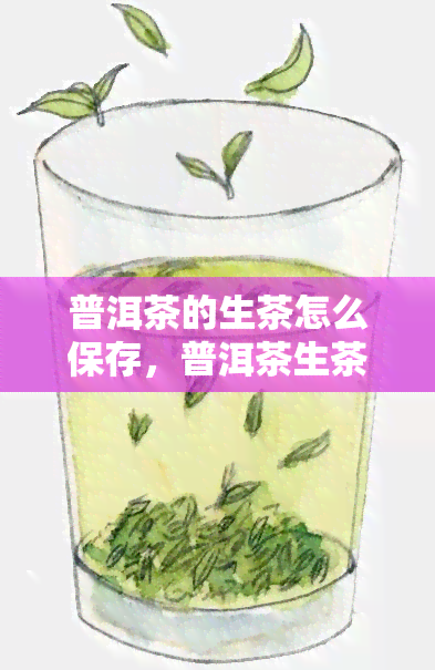 普洱茶的生茶怎么保存，普洱茶生茶的保存方法