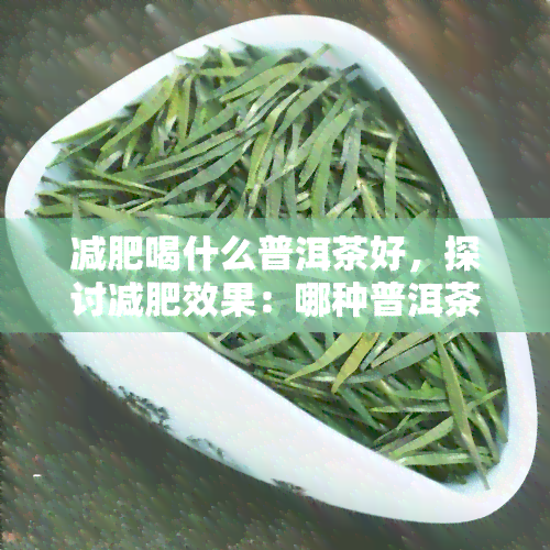 减肥喝什么普洱茶好，探讨减肥效果：哪种普洱茶最适合饮用？