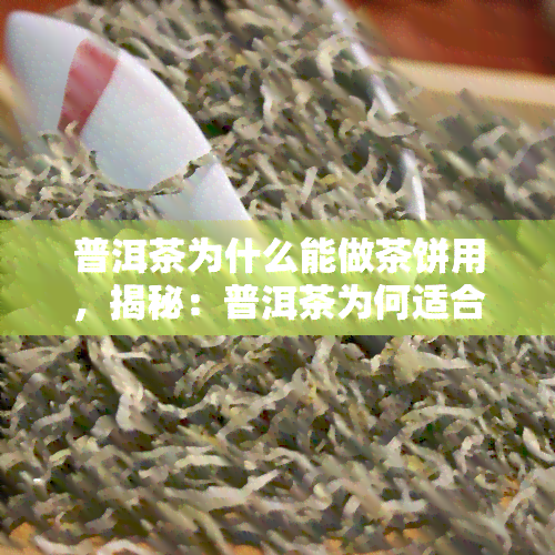 普洱茶为什么能做茶饼用，揭秘：普洱茶为何适合制作成茶饼？