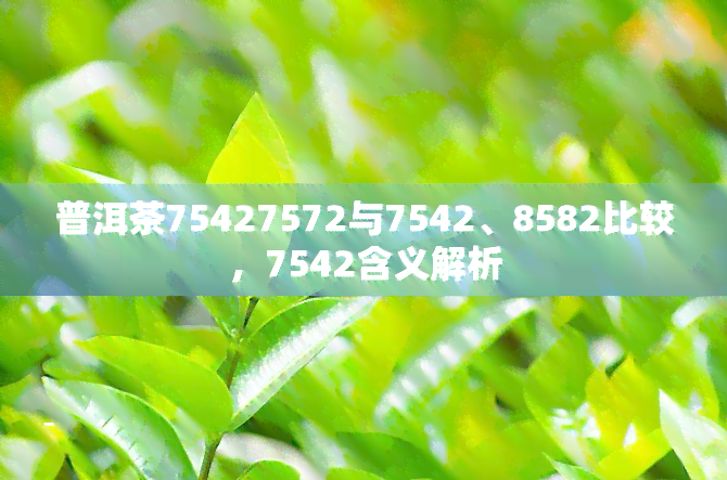 普洱茶75427572与7542、8582比较，7542含义解析