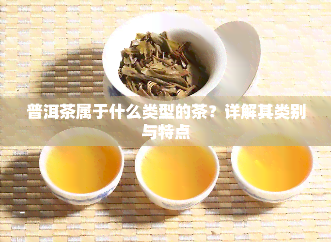 普洱茶属于什么类型的茶？详解其类别与特点