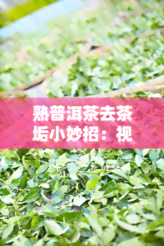 熟普洱茶去茶垢小妙招：视频与图片全攻略