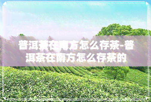 普洱茶在南方怎么存茶-普洱茶在南方怎么存茶的