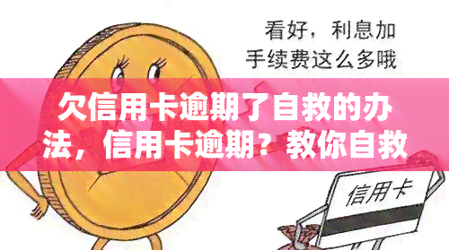 欠信用卡逾期了自救的办法，信用卡逾期？教你自救的五个有效方法！