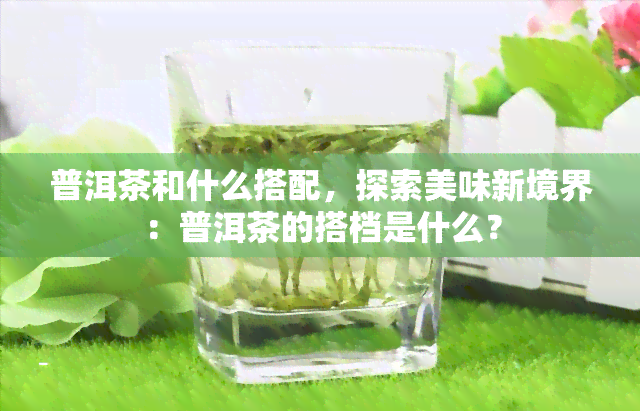 普洱茶和什么搭配，探索美味新境界：普洱茶的搭档是什么？