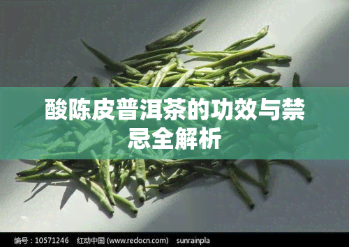 酸陈皮普洱茶的功效与禁忌全解析