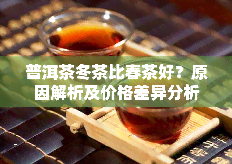 普洱茶冬茶比春茶好？原因解析及价格差异分析