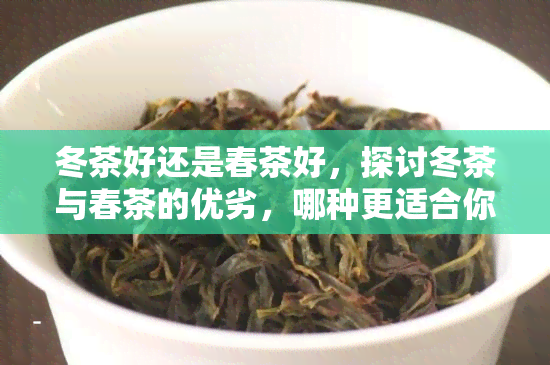 冬茶好还是春茶好，探讨冬茶与春茶的优劣，哪种更适合你？