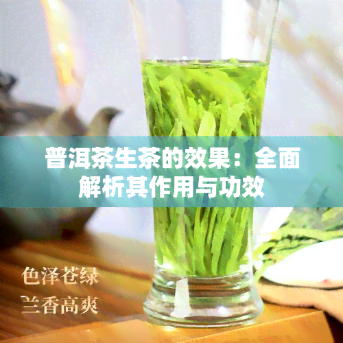 普洱茶生茶的效果：全面解析其作用与功效