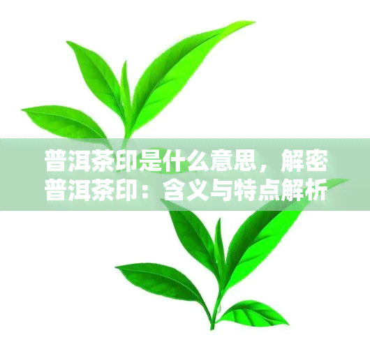 普洱茶印是什么意思，解密普洱茶印：含义与特点解析