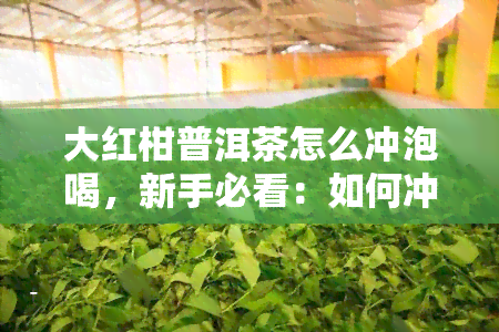 大红柑普洱茶怎么冲泡喝，新手必看：如何冲泡美味的大红柑普洱茶？