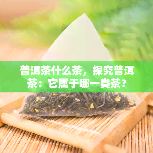 普洱茶什么茶，探究普洱茶：它属于哪一类茶？