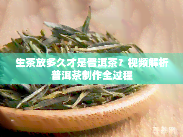 生茶放多久才是普洱茶？视频解析普洱茶制作全过程