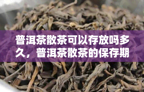 普洱茶散茶可以存放吗多久，普洱茶散茶的保存期限是多久？