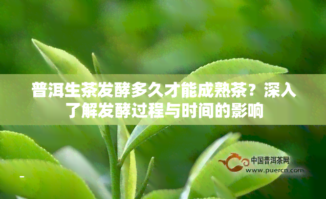 普洱生茶发酵多久才能成熟茶？深入了解发酵过程与时间的影响