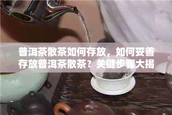 普洱茶散茶如何存放，如何妥善存放普洱茶散茶？关键步骤大揭秘！