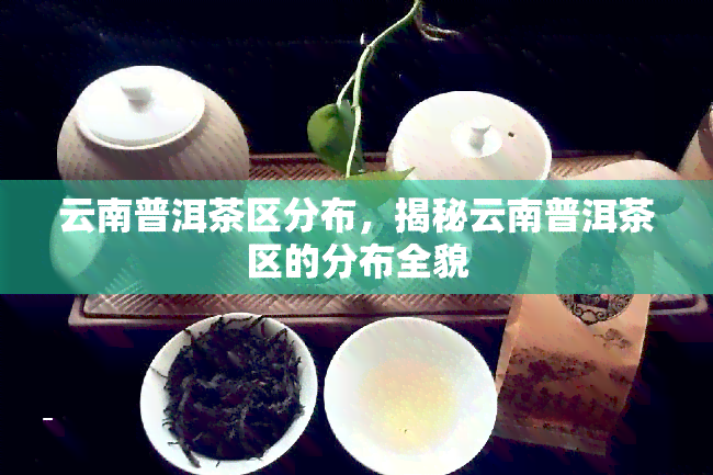 云南普洱茶区分布，揭秘云南普洱茶区的分布全貌