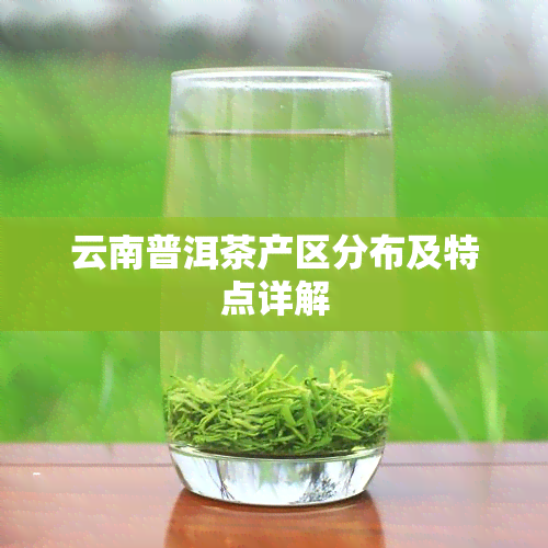 云南普洱茶产区分布及特点详解