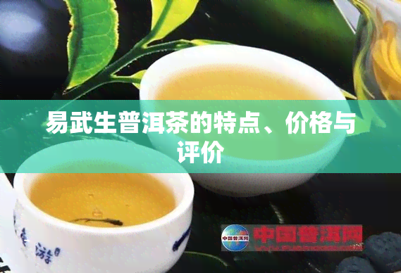 易武生普洱茶的特点、价格与评价