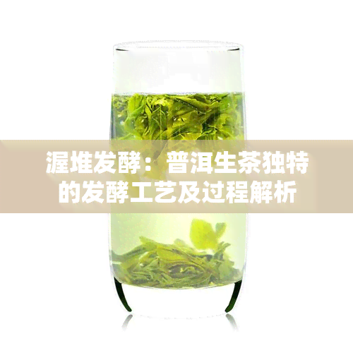 渥堆发酵：普洱生茶独特的发酵工艺及过程解析