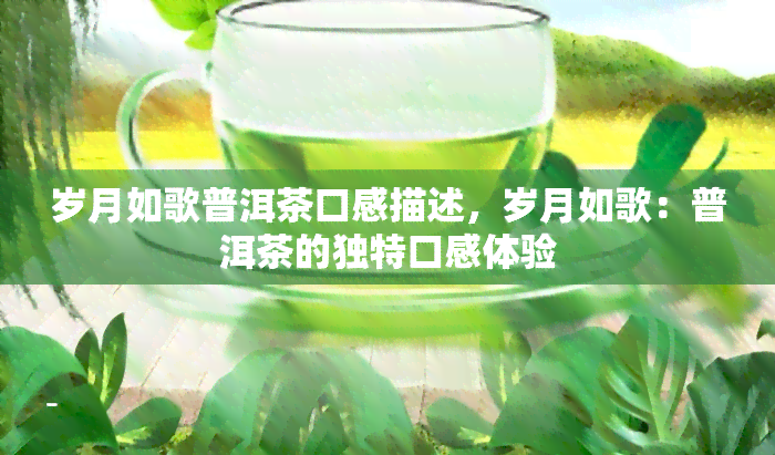 岁月如歌普洱茶口感描述，岁月如歌：普洱茶的独特口感体验