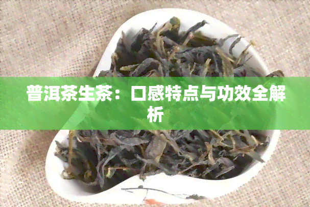 普洱茶生茶：口感特点与功效全解析