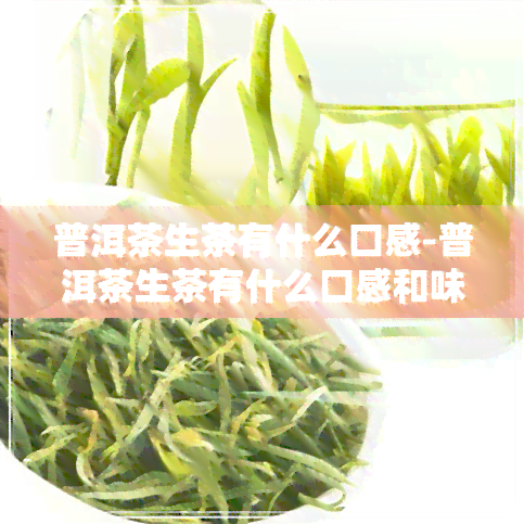 普洱茶生茶有什么口感-普洱茶生茶有什么口感和味道