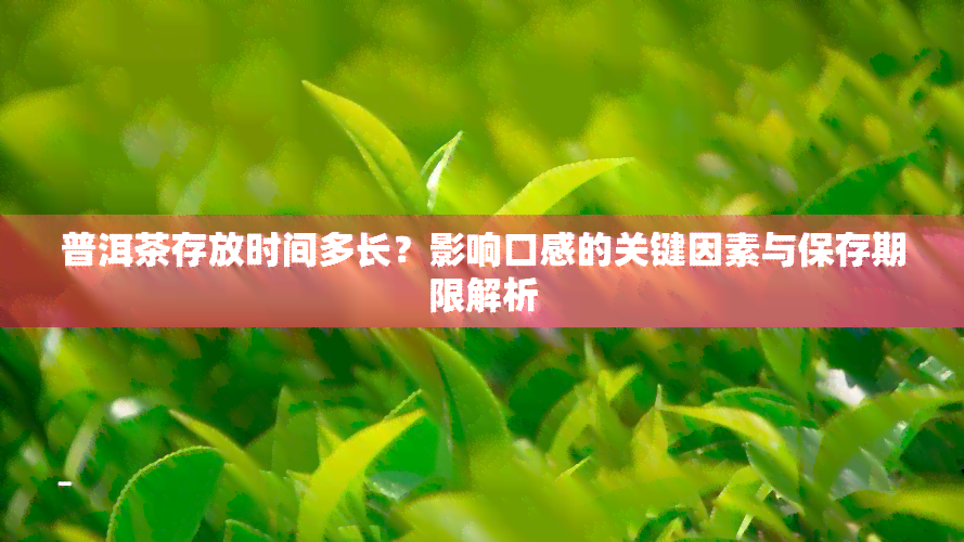 普洱茶存放时间多长？影响口感的关键因素与保存期限解析