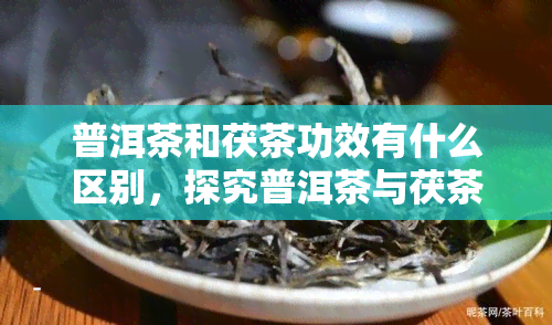 普洱茶和茯茶功效有什么区别，探究普洱茶与茯茶的功效差异