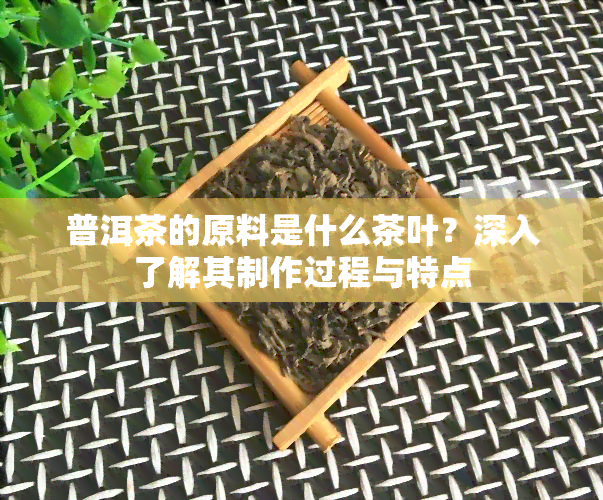 普洱茶的原料是什么茶叶？深入了解其制作过程与特点