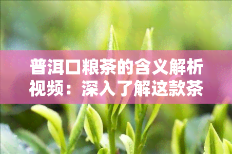 普洱口粮茶的含义解析视频：深入了解这款茶叶的本质