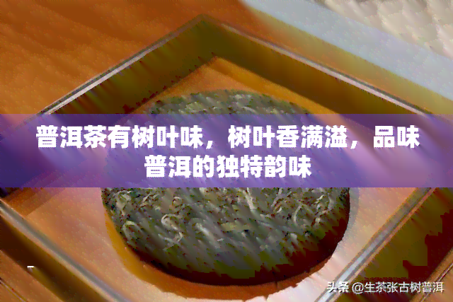 普洱茶有树叶味，树叶香满溢，品味普洱的独特韵味