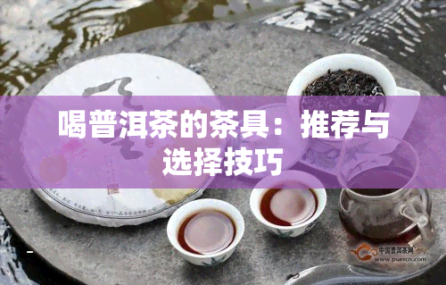 喝普洱茶的茶具：推荐与选择技巧