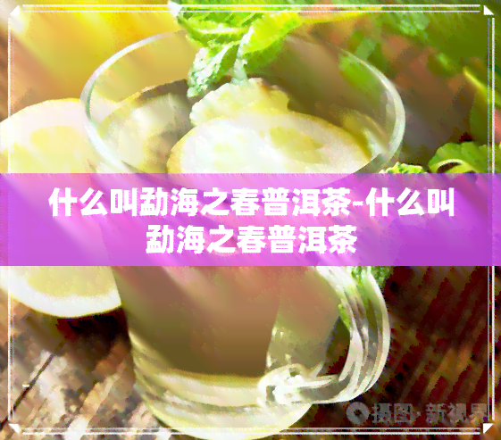 什么叫勐海之春普洱茶-什么叫勐海之春普洱茶