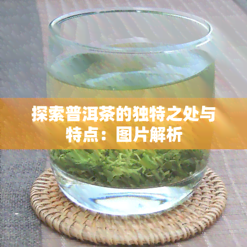 探索普洱茶的独特之处与特点：图片解析