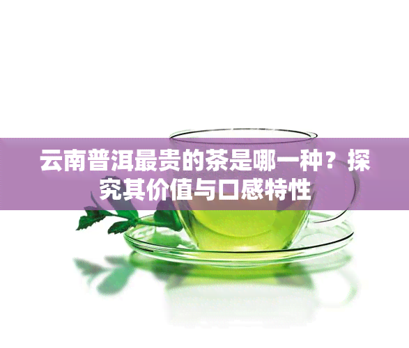 云南普洱最贵的茶是哪一种？探究其价值与口感特性