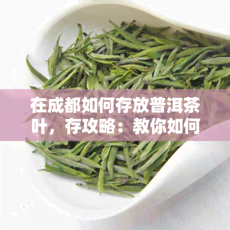 在成都如何存放普洱茶叶，存攻略：教你如何在成都正确存放普洱茶叶