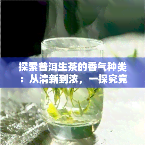 探索普洱生茶的香气种类：从清新到浓，一探究竟