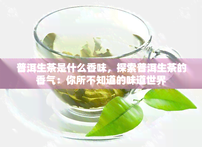 普洱生茶是什么香味，探索普洱生茶的香气：你所不知道的味道世界