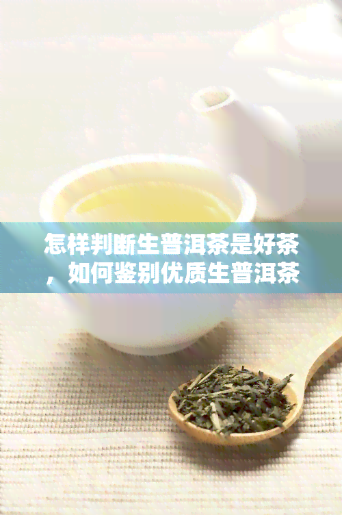 怎样判断生普洱茶是好茶，如何鉴别优质生普洱茶：实用技巧与注意事