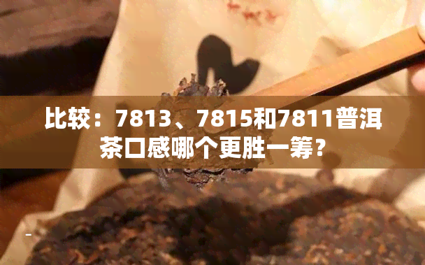 比较：7813、7815和7811普洱茶口感哪个更胜一筹？