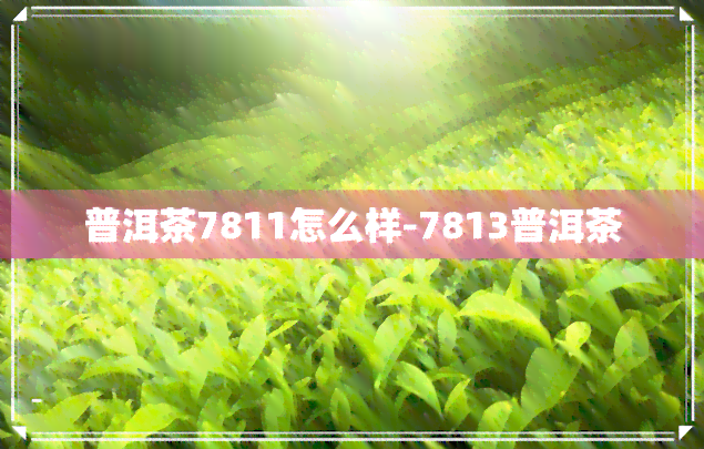 普洱茶7811怎么样-7813普洱茶