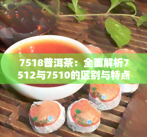 7518普洱茶：全面解析7512与7510的区别与特点