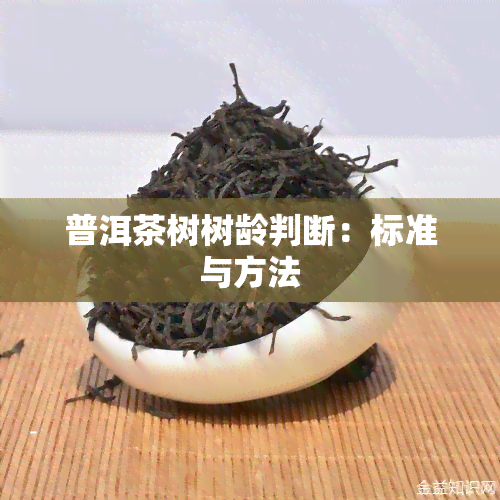 普洱茶树树龄判断：标准与方法